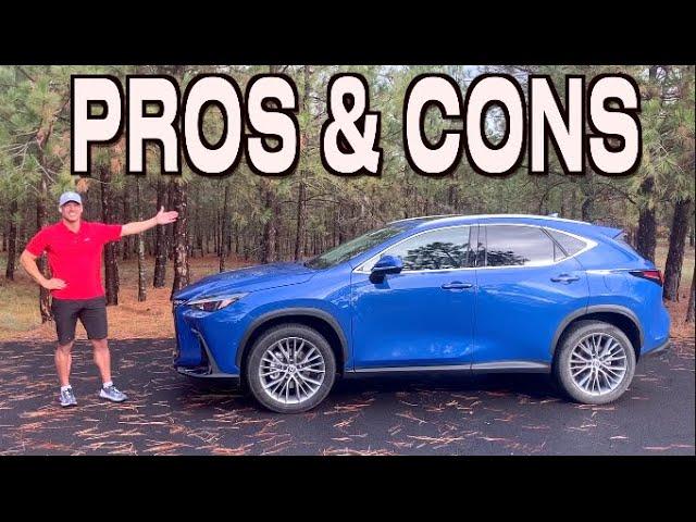 Reasons FOR and AGAINST: 2024 Lexus NX on Everyman Driver