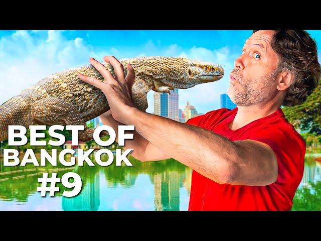 lizzard hunting in Bangkok's Central Parks - #9 of 25 Things To Do in Bangkok