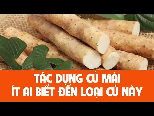 Củ mài (Hoài sơn): Vị thuốc cổ truyền phổ biến trong hơn 2000 năm