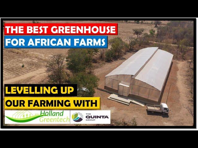 Vegetable Farming in Zambia: We Got our First Greenhouse