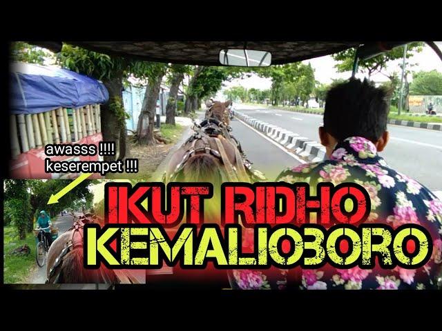 Naik andong wisata kemalioboro - bersama Ridho | seputar kuda | yeyen luncerholic