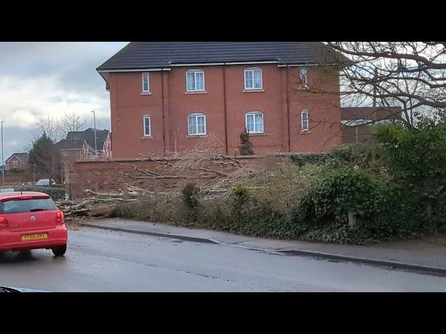 Crewe tree surgeon incident