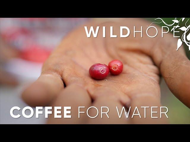 The community impact of shade-grown coffee | WILD HOPE