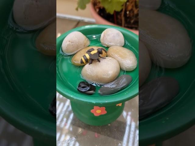 Bee Bee Bee Water Station