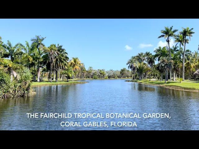 A Tour of Fairchild Tropical Botanical Garden Starring Kyle Klimek