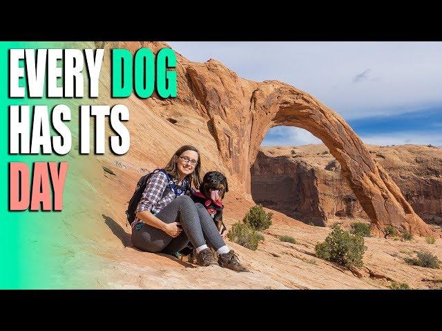 Pet Friendly Hike Near Moab Utah - Sweetie's Birthday and Corona Arch - Full Time RV