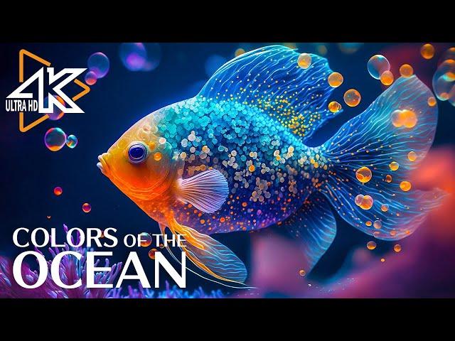 Aquarium 4K VIDEO (ULTRA HD)  Sea Animals With Relaxing Music - Rare & Colorful Sea Life Video #23