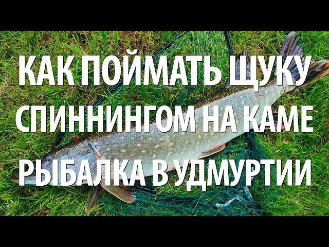 КАК ЛОВИТЬ ЩУКУ на СПИННИНГ. РЫБАЛКА в УДМУРТИИ на КАМЕ СПИННИНГОМ