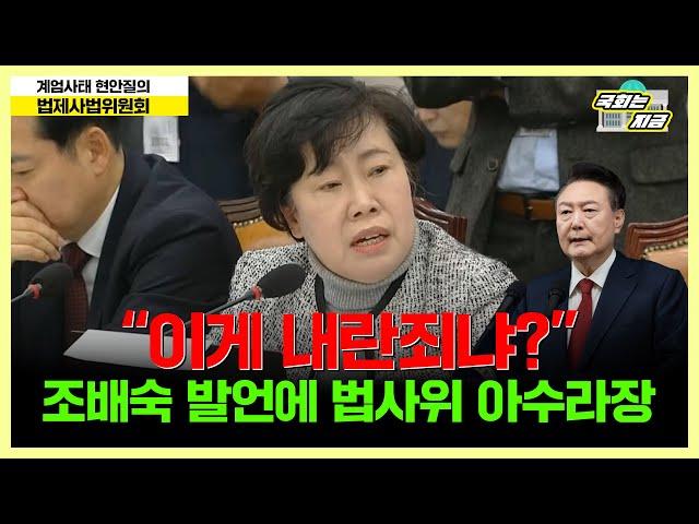 "이게 내란죄냐?" 조배숙 발언에  법사위 아수라장 [문화일보]