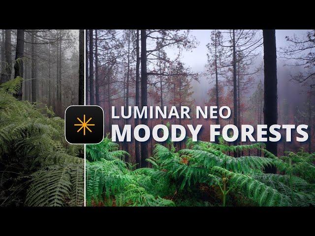 How I Create Moody Forest Photos In Luminar Neo | Nature Editing Tutorial