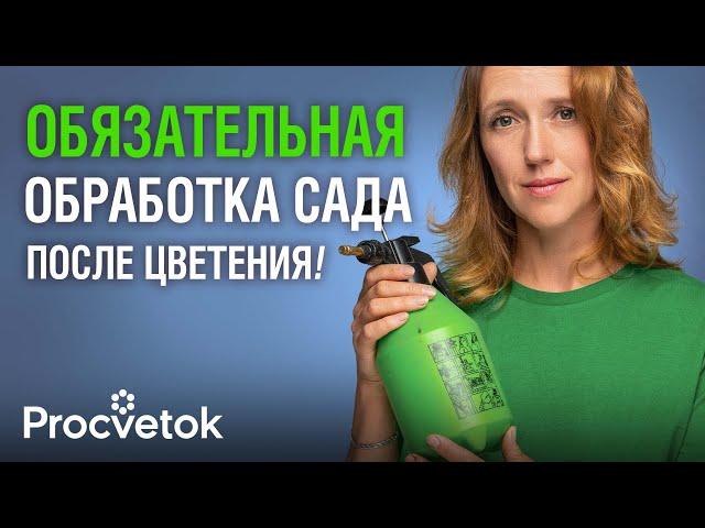 ПОСЛЕ ЦВЕТЕНИЯ ВСЕМ ДЕРЕВЬЯМ ОБЯЗАТЕЛЬНО дайте такую подкормку и обработку от болезней и вредителей