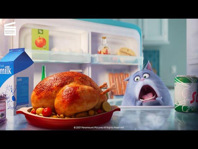 The Secret Life of Pets: What do pets do when we leave? (HD CLIP)