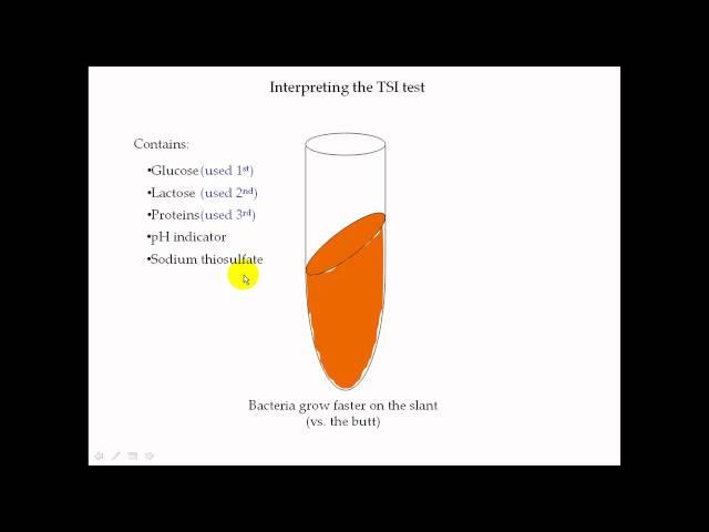 TSI Test Part 2