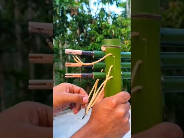 From Bamboo To Bullseye 