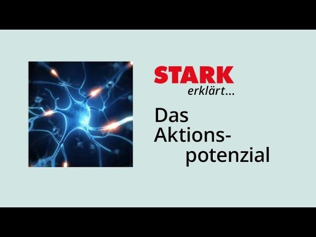 Das Aktionspotenzial | STARK erklärt