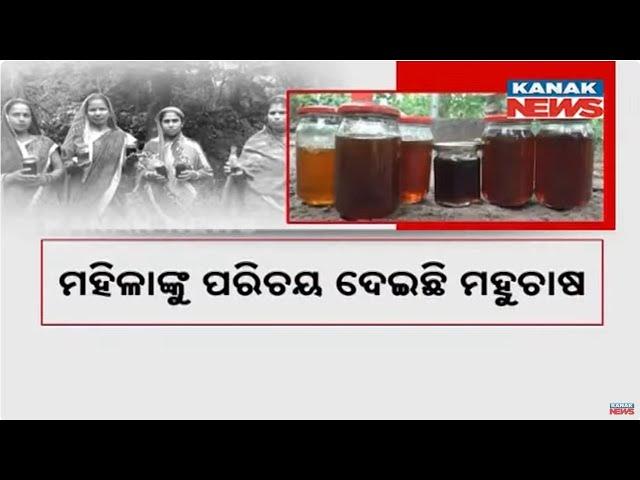 Bazaar Halchaal: Apiculture Giving New Identity To Women Of Banki