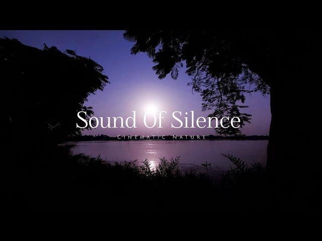 Sound Of Silence | Nature Vibes | Relaxation Sound | 4k