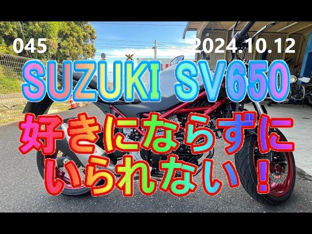 SUZUKI SV650 誰からも好かれて当たり前！