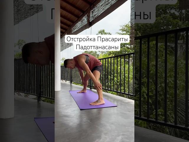 Напоминать о том, чтобы сгибали колени вместо спины - не устану никогда #йогадляначинающих #йога