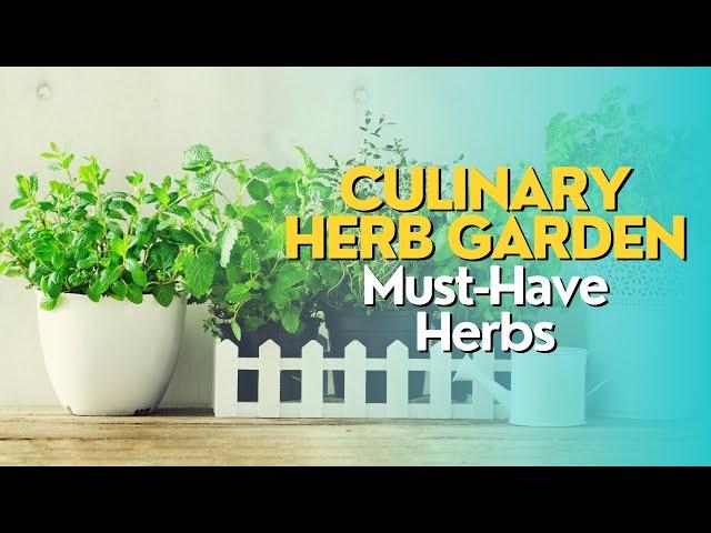 Culinary Herb Garden: Must-Have Herbs