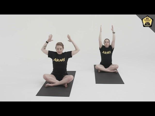 TMAR-M for P3T 19 Seated Spinal Twist