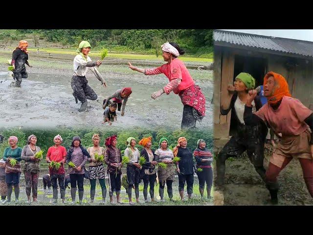 Chakhesang mother's rally race and fun time at paddy's field