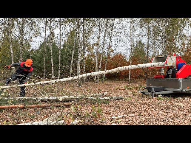 Chopped a 10 meter log in a second! Unreal Branch Logger!