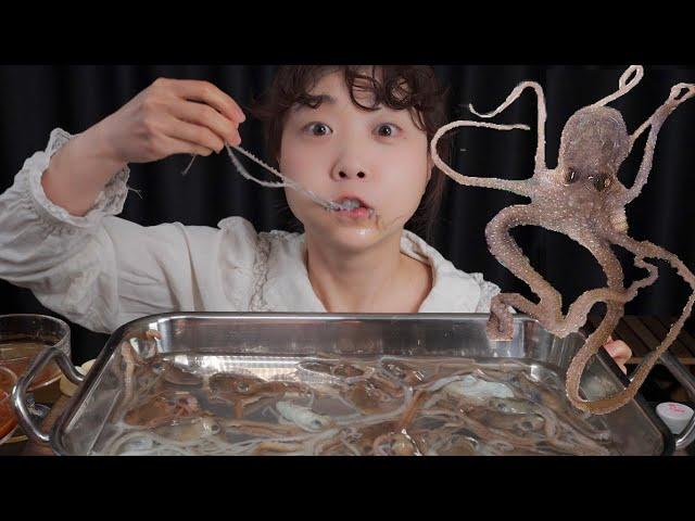 귀한 꽃낙지라고 들어봤슈~?small octopusMukbang