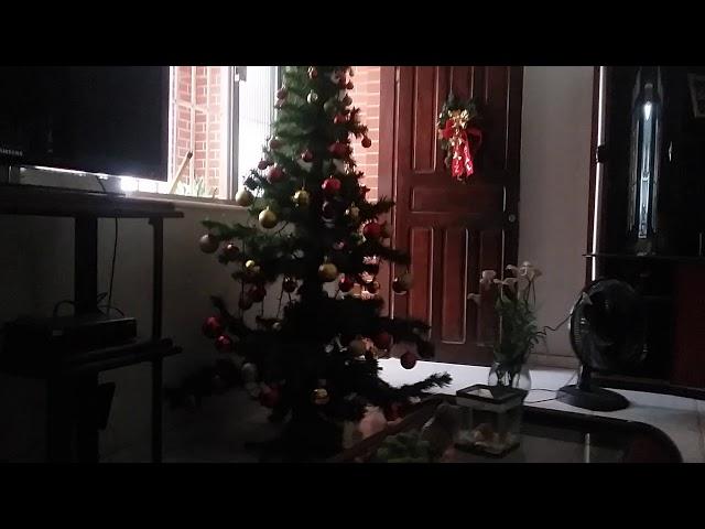 Como ficou minha árvore de Natal