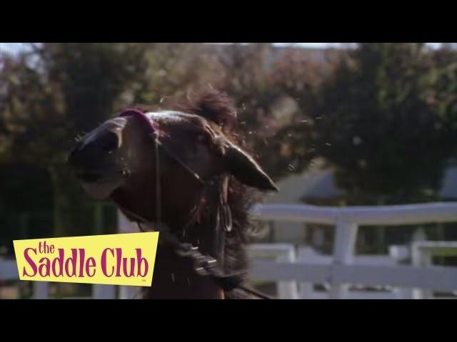 The Saddle Club - Set Up | Season 01 Episode 13 | HD | Full Episode