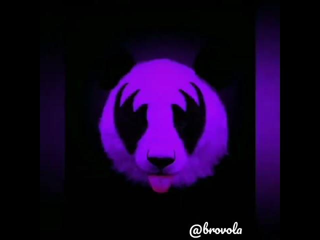Panda beat | brovola | #shorts #viral