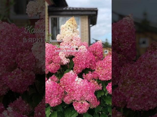 Все краски загородной жизни #недвижимость #омск #свойдом