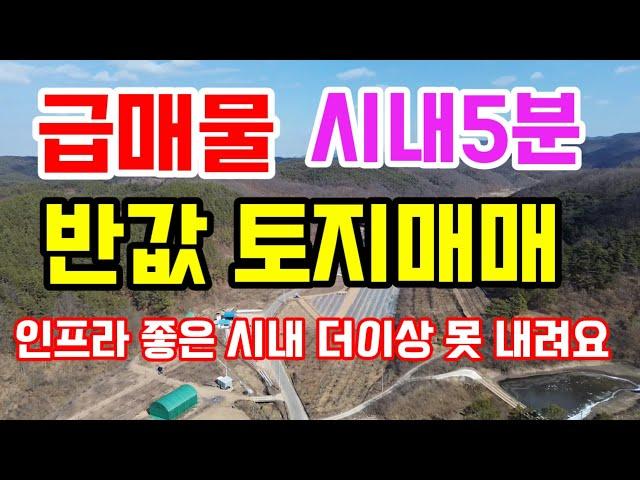 [391]반값급매물!! 의성시내5분 최고의토질 남향 마늘밭 의성부동산의성토지매매