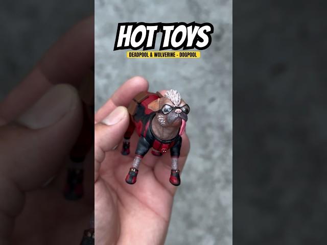 Closer look: Hot Toys Marvel Studios Deadpool & Wolverine - Dogdpool (Marry Poppin) #deadpool