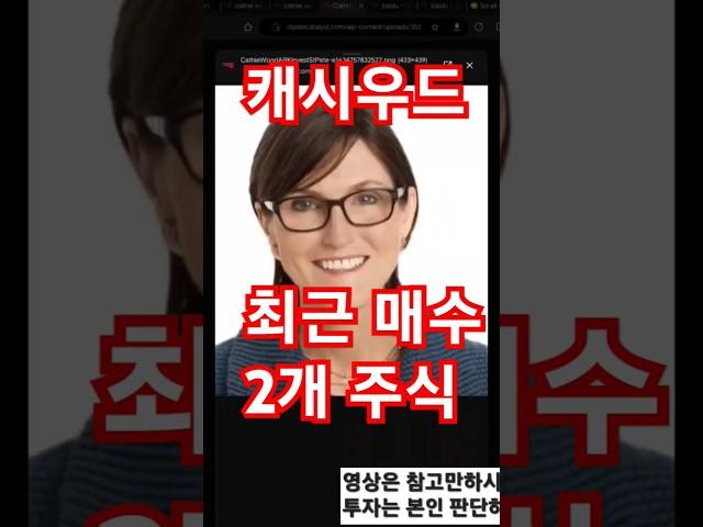 캐시 우드, 시장 역행 투자?!  바이두/넥스트도어 왜 샀을까?