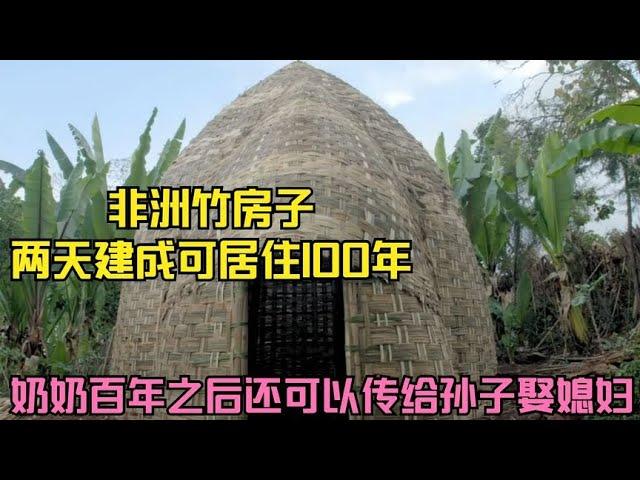 非洲竹房子两天建成可住100年，奶奶百年后还可以传给孙子娶媳妇