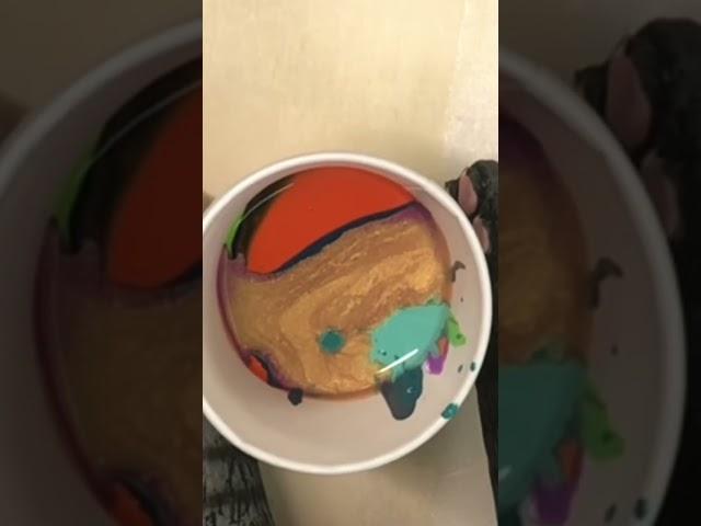 My Cat Has A Secret Hobby… #cats #fluidart #funnyvideo ‍⬛ ‍