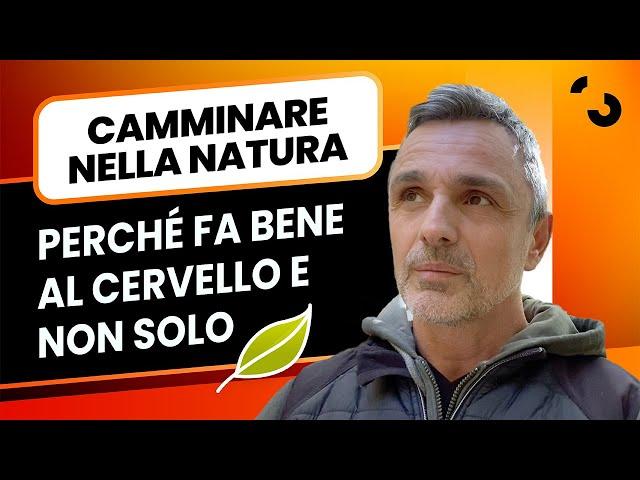 Camminare nella natura perché fa bene al cervello e non solo | Filippo Ongaro