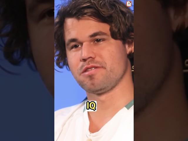 Magnus IQ 