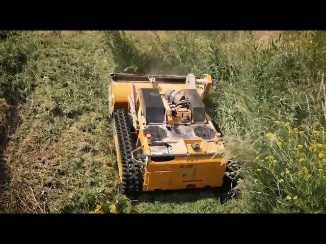 Extreme RC slope mower - AS 1000 OVIS RC