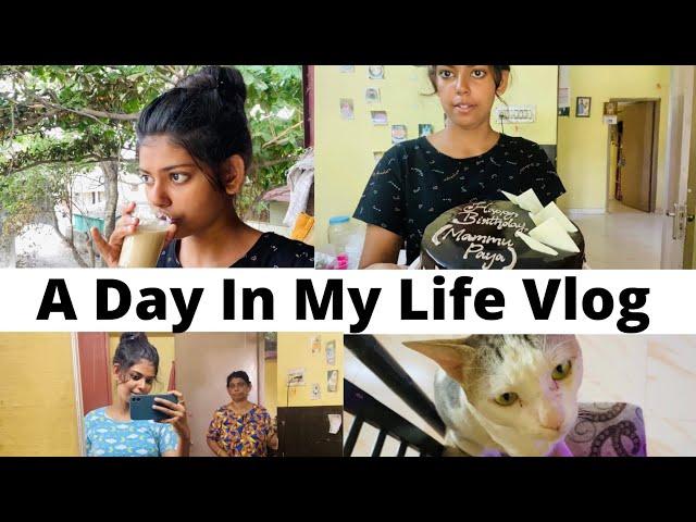 A DAY IN MY LIFE VLOG \ cake vlog \ simple potato fry recipe \ srijuu’s lifestyle #dayinmylife