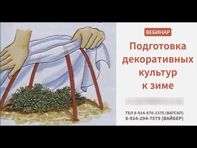 Фрагмент записи вебинара "Подготовка декоративных многолетников к зиме"  Долгих Анна