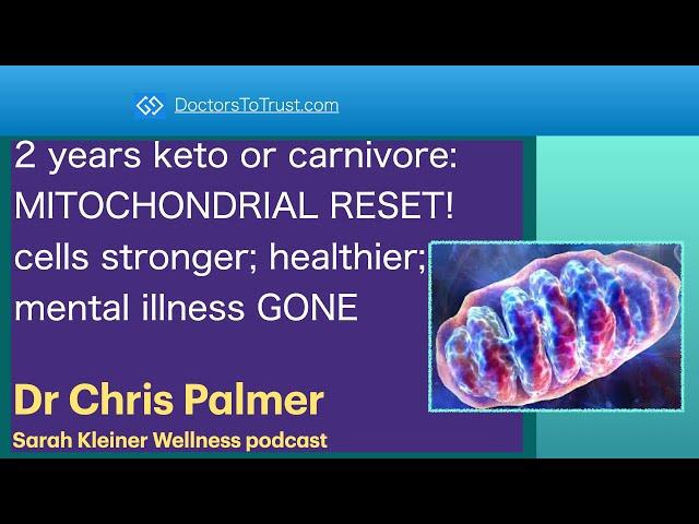 CHRIS PALMER 6 | 2 years keto or carnivore: MITOCHONDRIAL RESET! cells stronger; mental illness GONE