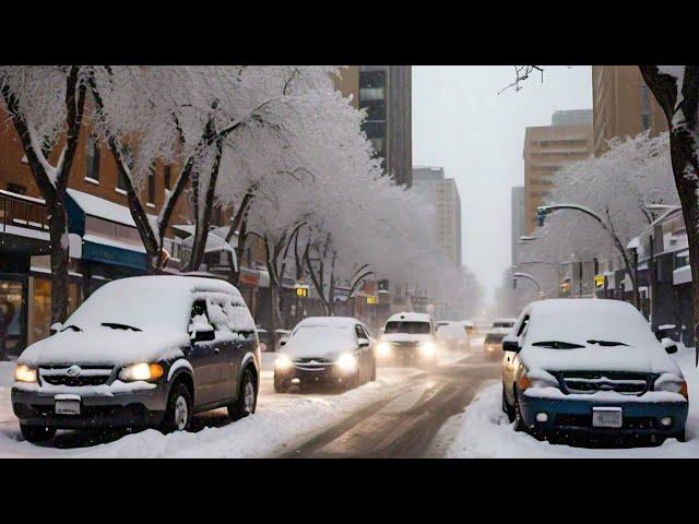 SNOWSTORM SASKATOON, CANADA (-25 ️️️) NOV.24, 2024