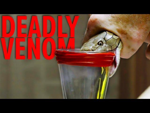 Deadliest Job in the World - Snake Milker Top 10!