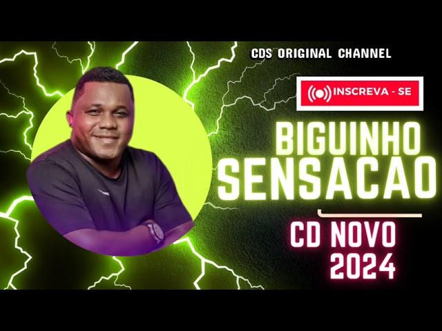 BIGUINHO SENSAÇÃO - CD NOVO 2024 - AS MAIS TOCADAS