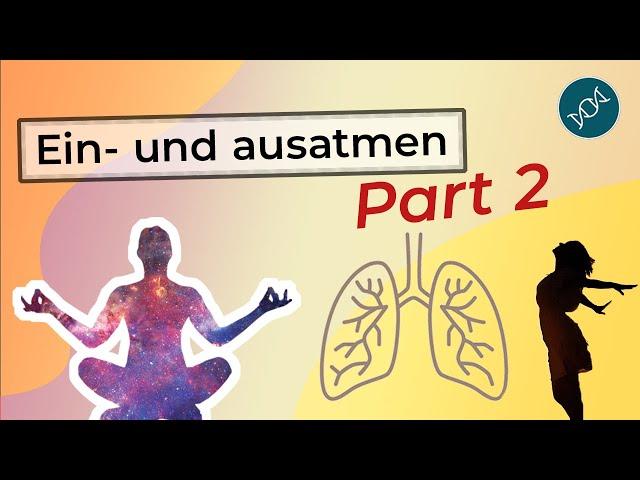 5 Min Meditation | Einfache Atemübungen zur Beruhigung | Schnelle Hilfe bei Stress | Relax