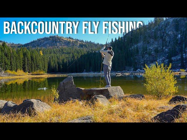 Fishing for the most BEAUTIFUL FISH on Earth!! (Fly Fishing for Trout)