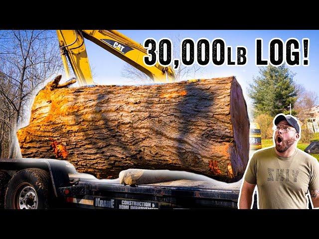 We Rescue A HUGE Log and Mill it!