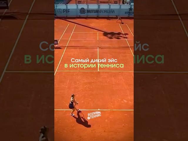  Самый дикий эйс в истории тенниса!